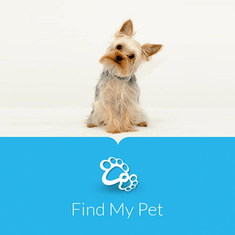 map[class:aspect-square object-contain object-center w-full src:images/work/findmypet.png]
