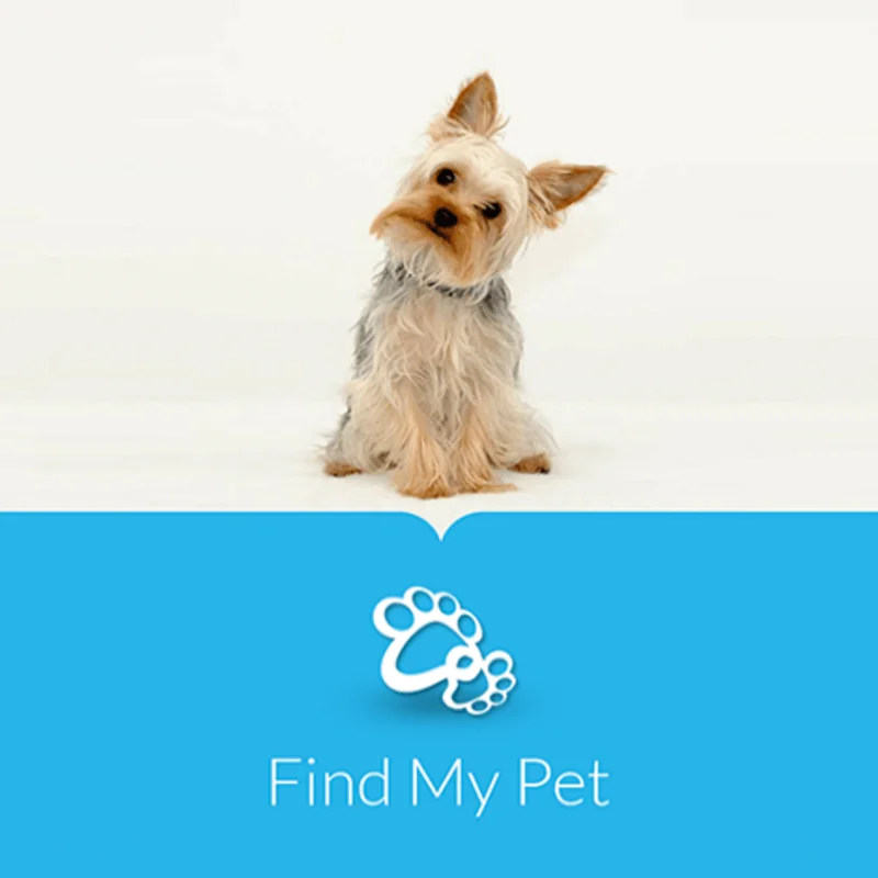 map[class:aspect-square object-contain object-center w-full src:images/work/findmypet.webp]